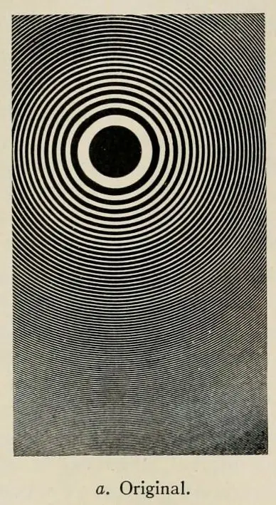 Public image from Pinterest (388 x 709)