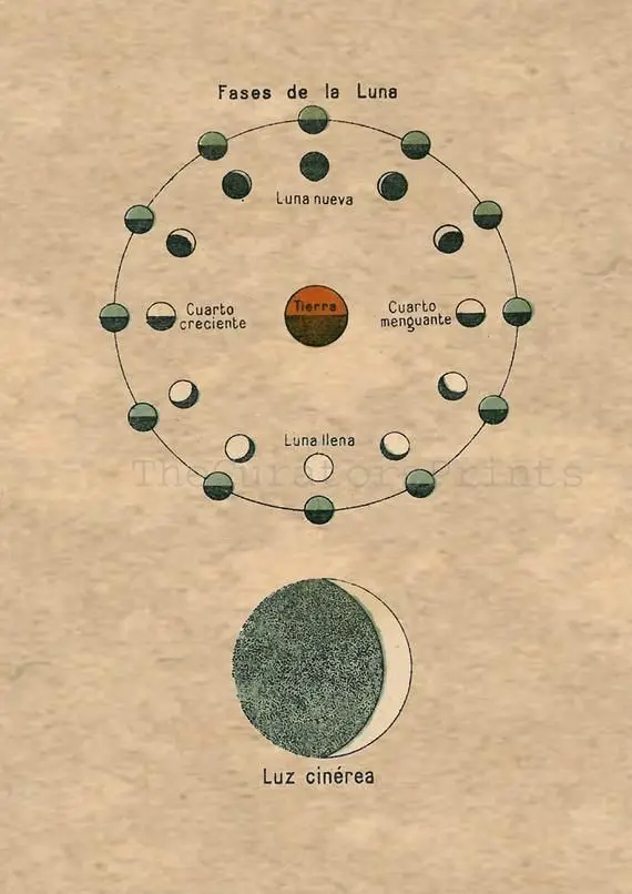 Public image from Pinterest (570 x 806)