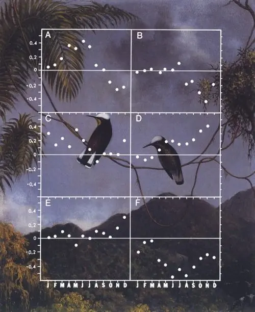Public image from Pinterest (500 x 612)