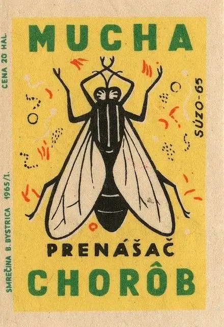Public image from Pinterest (440 x 640)