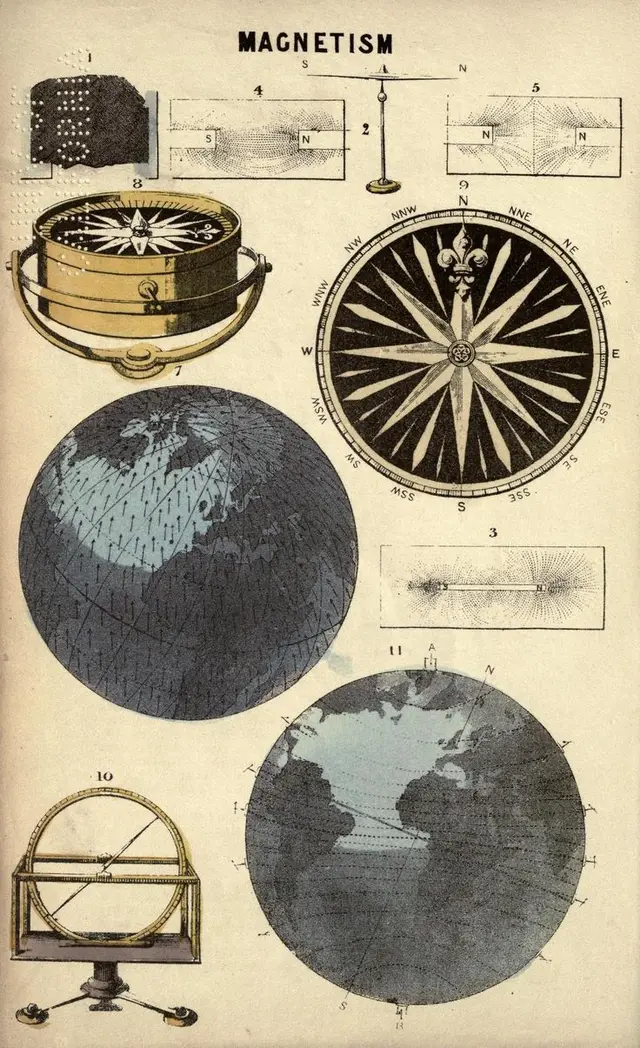 Public image from Pinterest (736 x 1205)