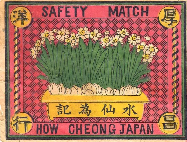 Public image from Pinterest (735 x 556)