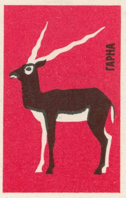 Public image from Pinterest (430 x 676)