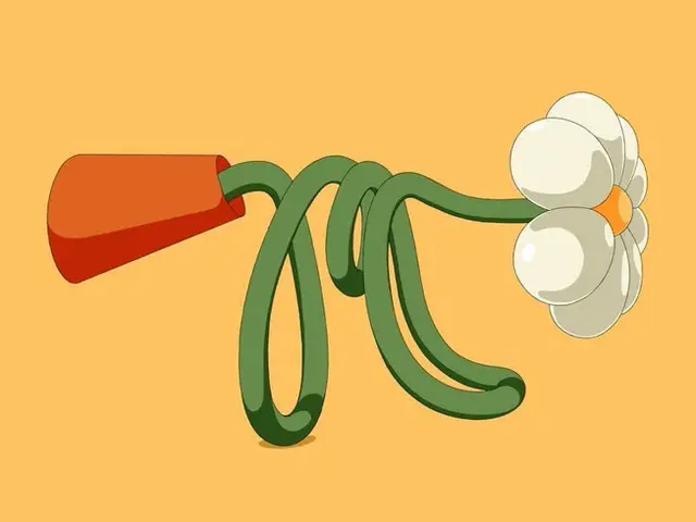 Public image from Pinterest (736 x 552)